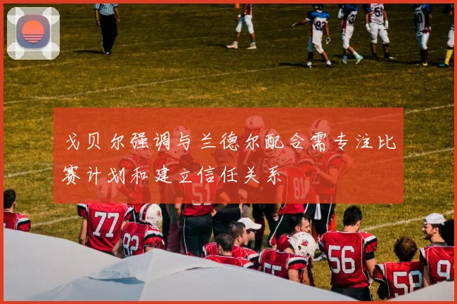 戈贝尔强调与兰德尔配合需专注比赛计划和建立信任关系